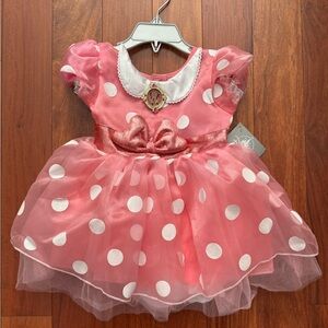 Disney Pink and White Polka Dot Minnie Mouse Costume